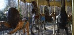 carousel