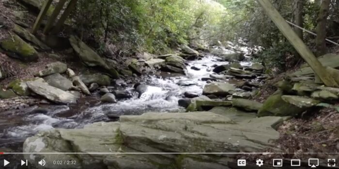 mountain stream